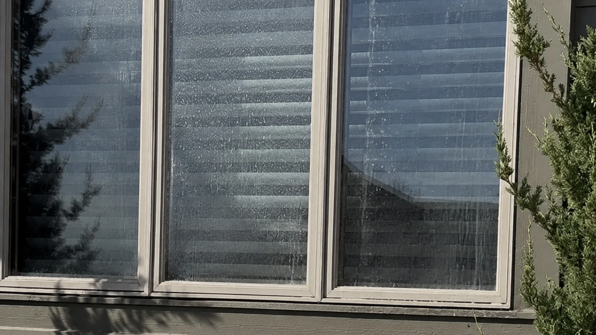 Window Cleaning 1