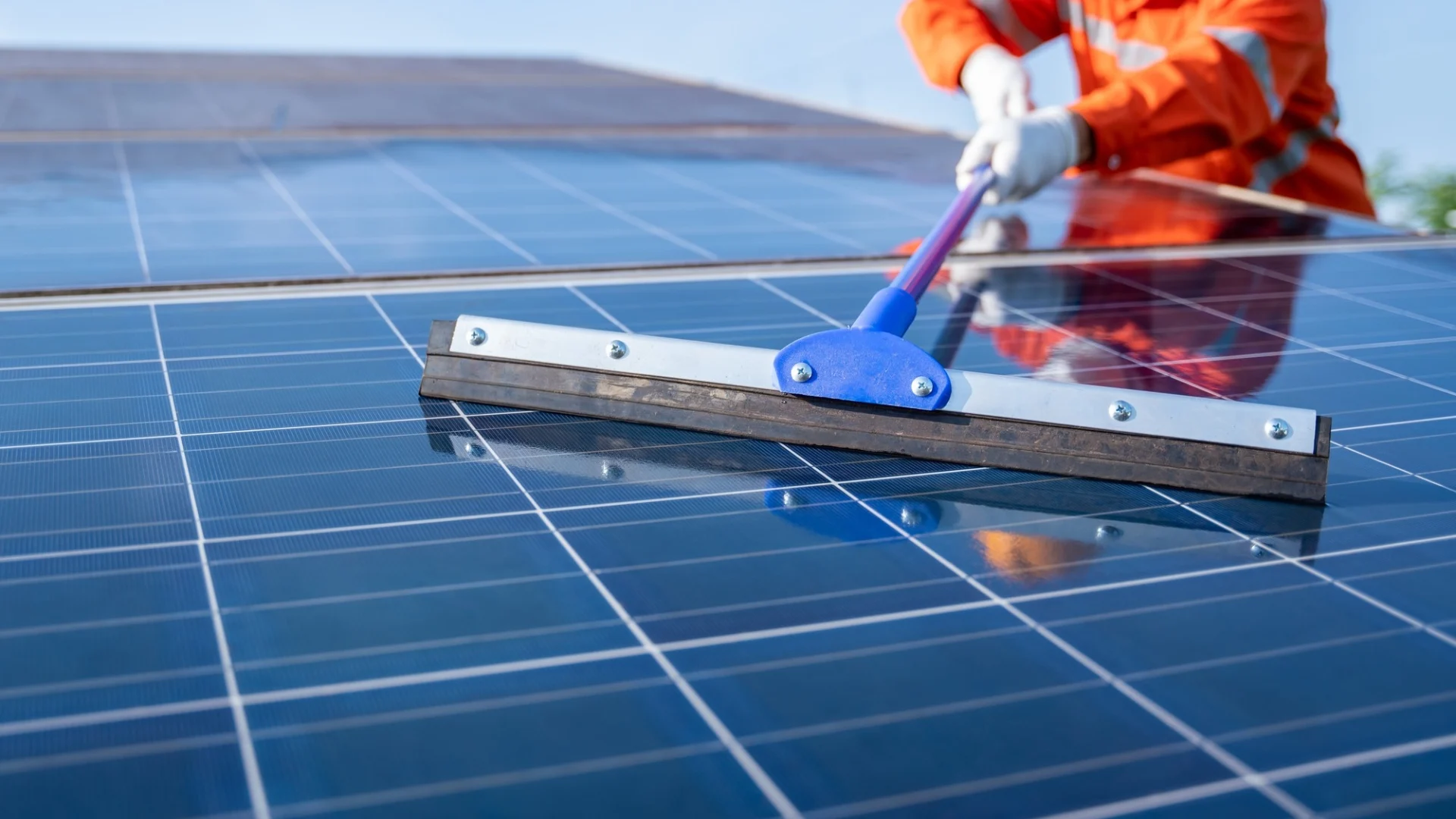 solar panel cleaning (2)