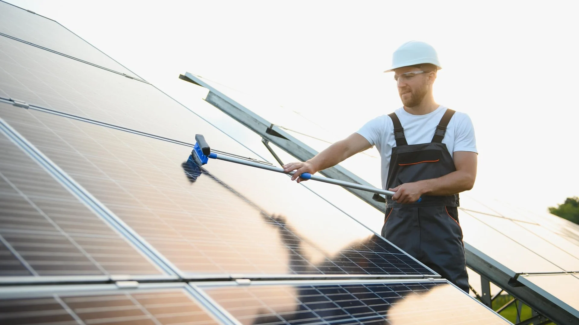 solar panel cleaning (3)