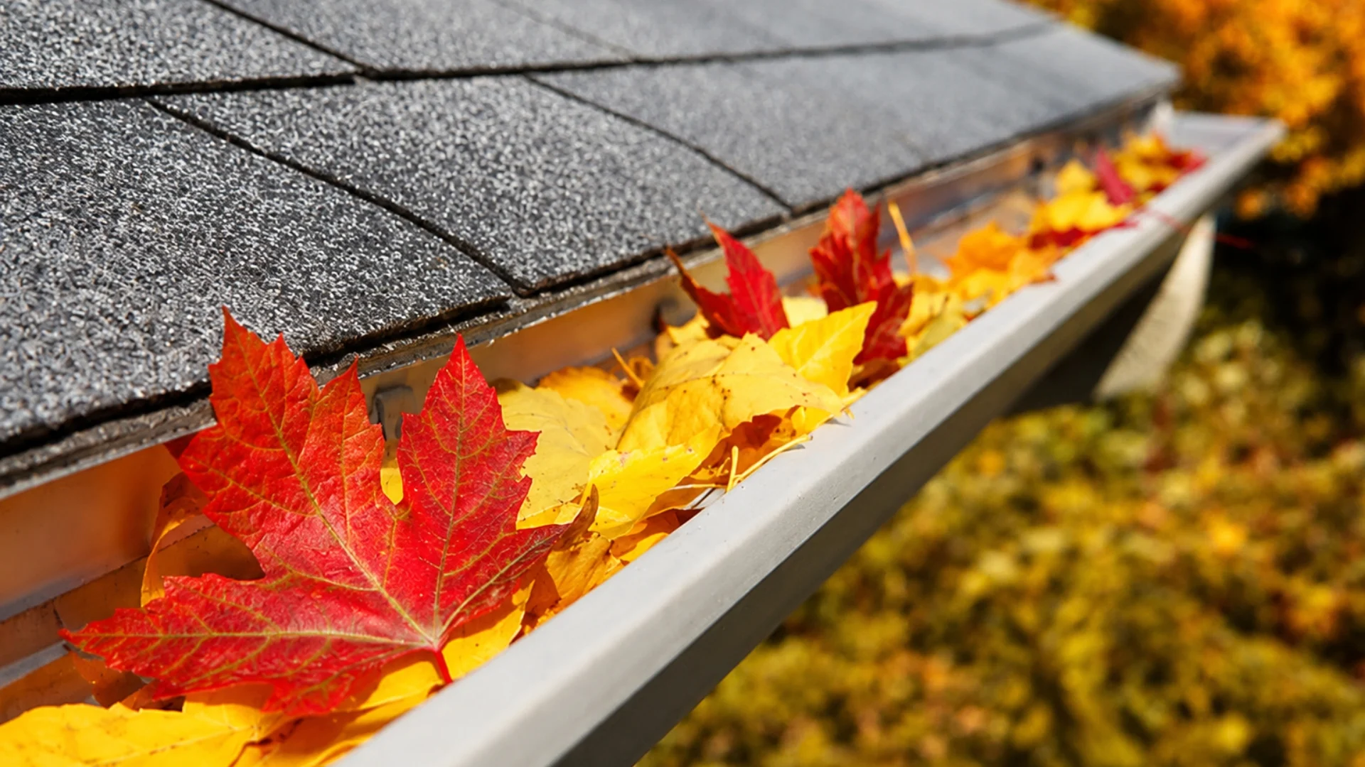 □ Gutter Cleaning== (3) □ Gutter Cleaning== (3)