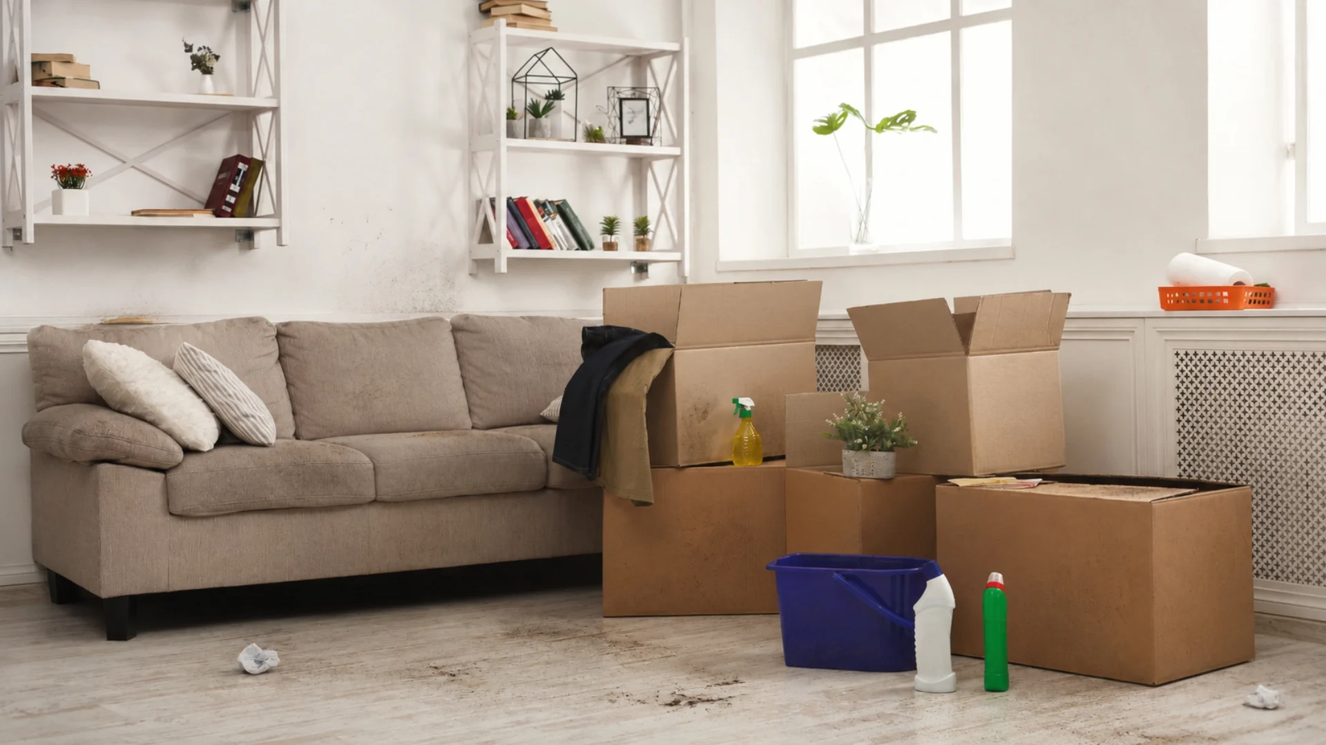 □ Move in_Move out Cleaning (3) □ Move in_Move out Cleaning (3)